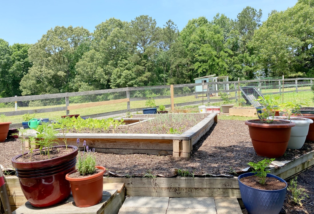 Frugal Potager Garden Transformation and Tour