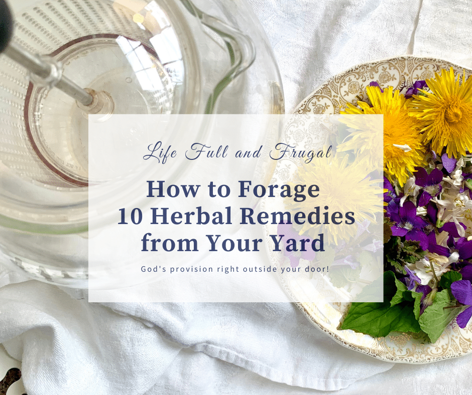 How to Forage 10 Herbal Remedies from Your Yard