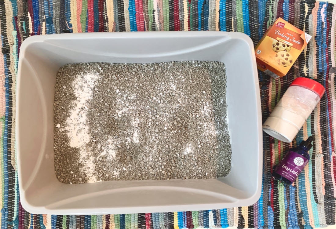 Homemade Kitty Litter Deodorizer – Life Full and Frugal