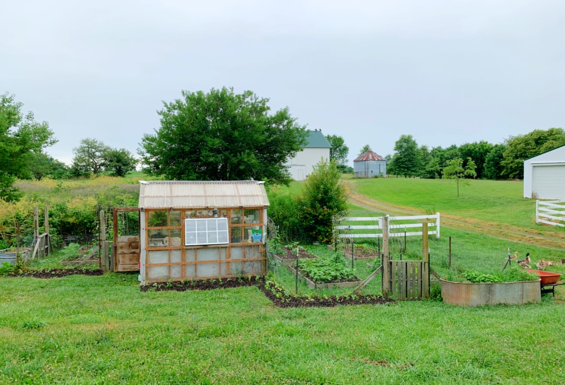 Simple No-Dig Herb Border Beds for the Garden